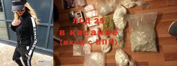 spice Богородицк