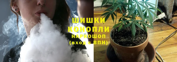 гашик Богородск