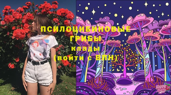 прущие грибы Богданович