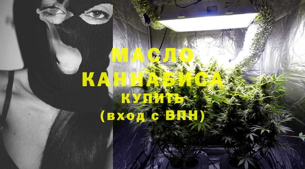 spice Богородицк