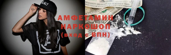 прущие грибы Богданович