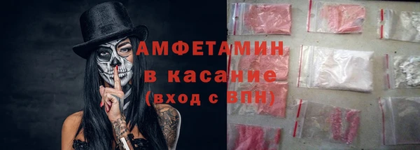 spice Богородицк