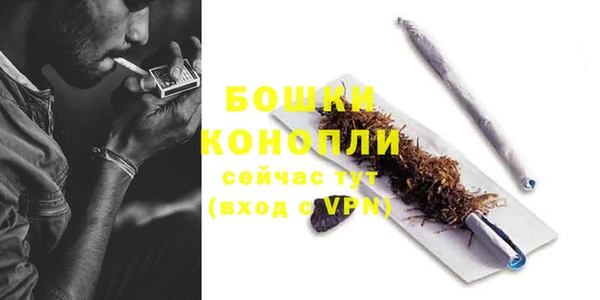 гашик Богородск