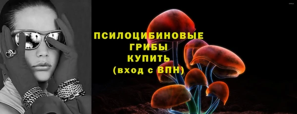 прущие грибы Богданович