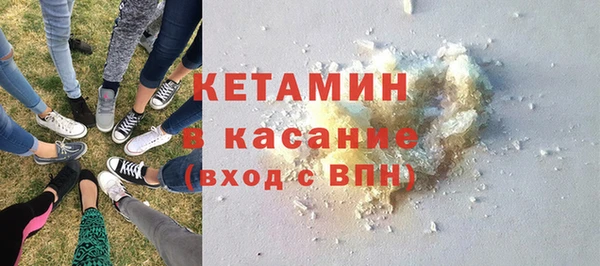 прущие грибы Богданович
