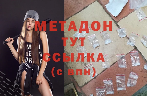 прущие грибы Богданович