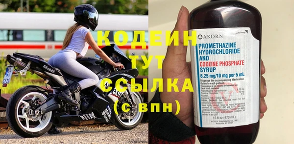 прущие грибы Богданович