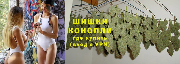 гашик Богородск