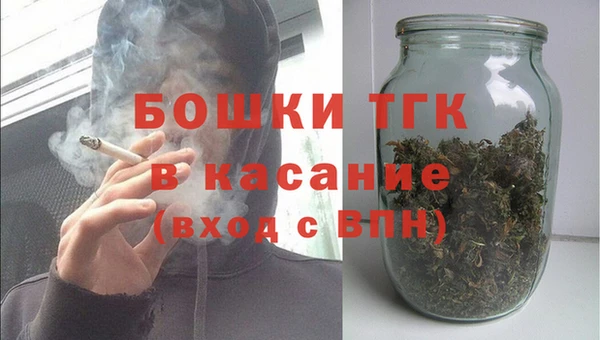 прущие грибы Богданович