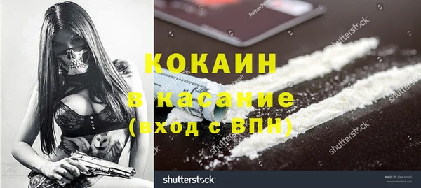 ГАЛЛЮЦИНОГЕННЫЕ ГРИБЫ Белокуриха