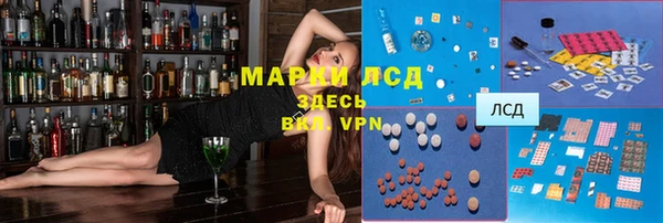 прущие грибы Богданович