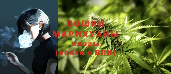 гашик Богородск