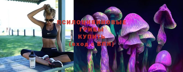 spice Богородицк