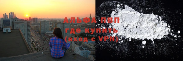 spice Богородицк