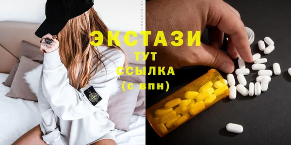 spice Богородицк