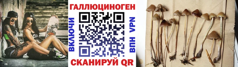 Псилоцибиновые грибы Psilocybine cubensis  как найти наркотики  Верхняя Тура 